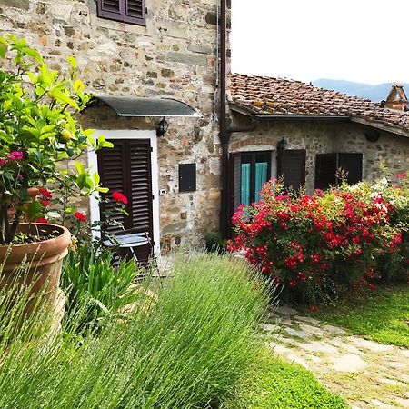 Montebeni Apartments Greve in Chianti Buitenkant foto