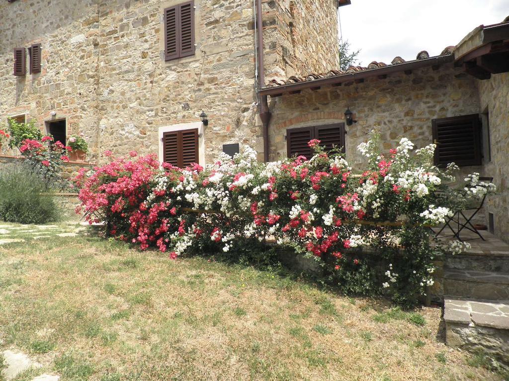 Montebeni Apartments Greve in Chianti Buitenkant foto