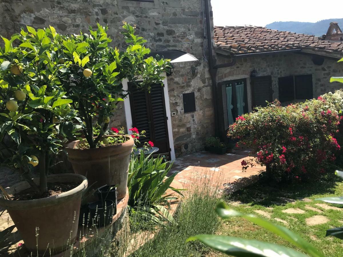 Montebeni Apartments Greve in Chianti Buitenkant foto